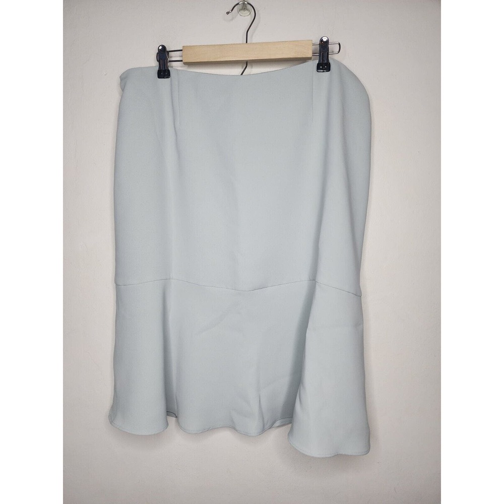 Talbots Woman 16W Pale Blue Skirt